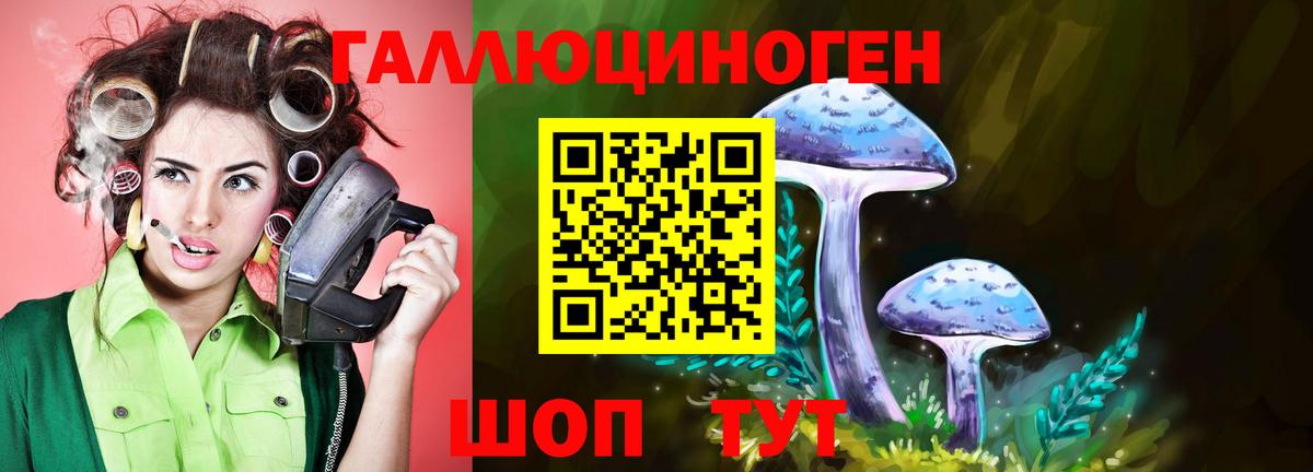 цена   Галлюциногенные грибы MAGIC MUSHROOMS  Галлюциногенные грибы Cubensis  Вход с VPN  Подольск 